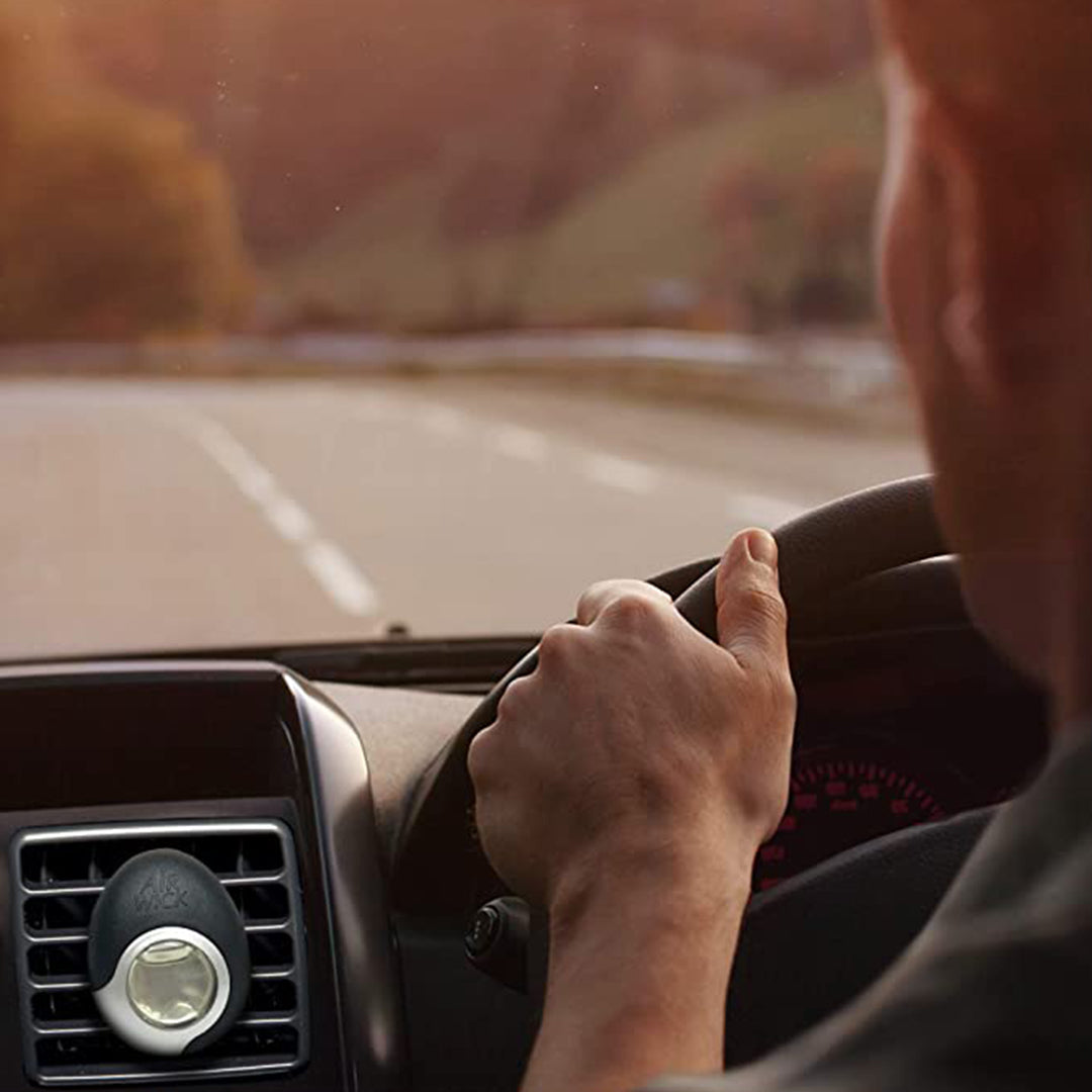 Top 7 Tips for Choosing the Perfect Car Perfume – Flex Paws